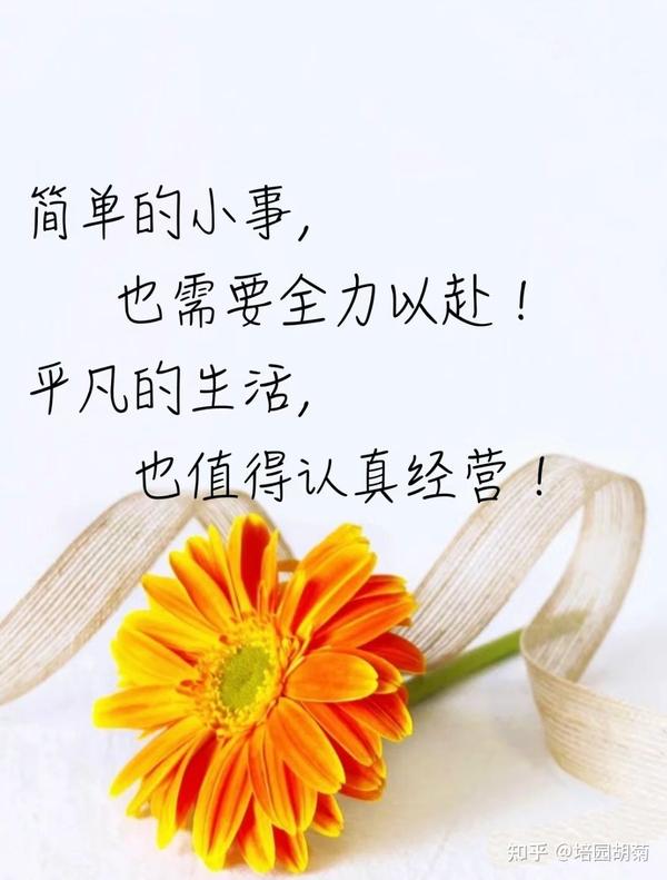 每一刻当下都是最值得珍惜的时光 - 知乎