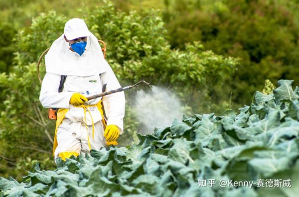 EPA epa