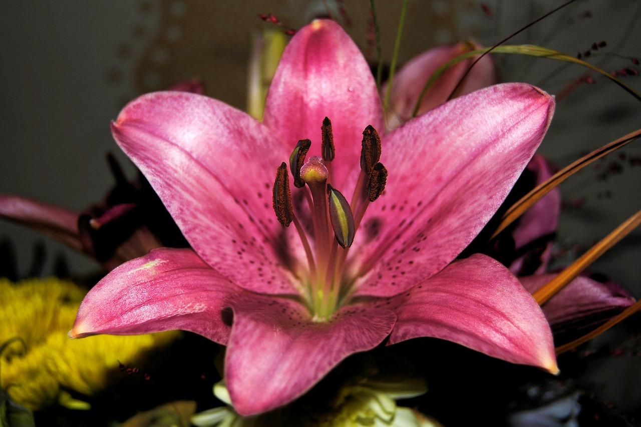 2. 最佳开花时间