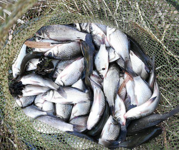 寂静冬日阳光暖山野小塘鱼获丰