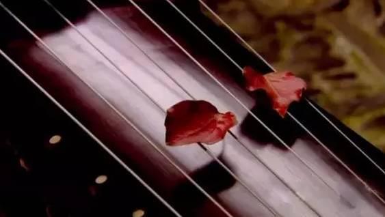 疯狂的古琴热失落的古琴魂