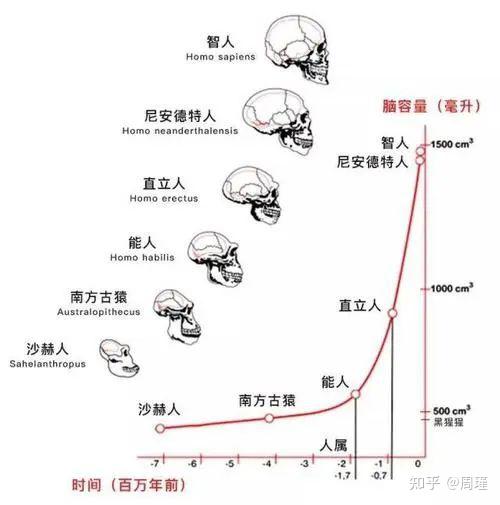 原始人~现代人的进化,与人类颜值呈正比例(民科版~~~) - 知乎