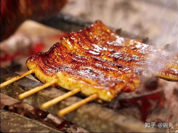 日本鳗鲡 土用丑日 我偏不吃鳗鱼 知乎