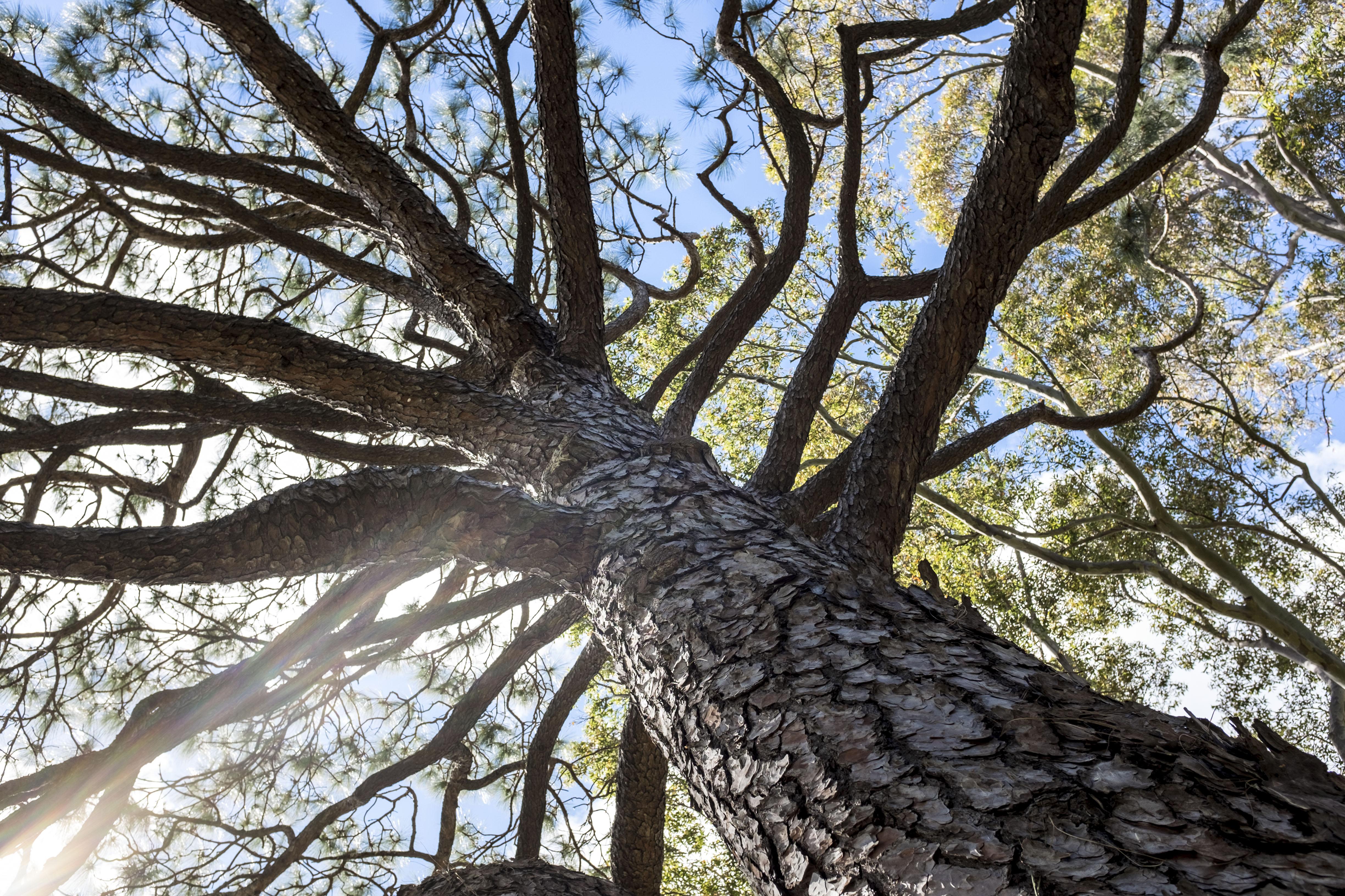 澳大利亚旅游有哪些值得去的地方?大致攻略是