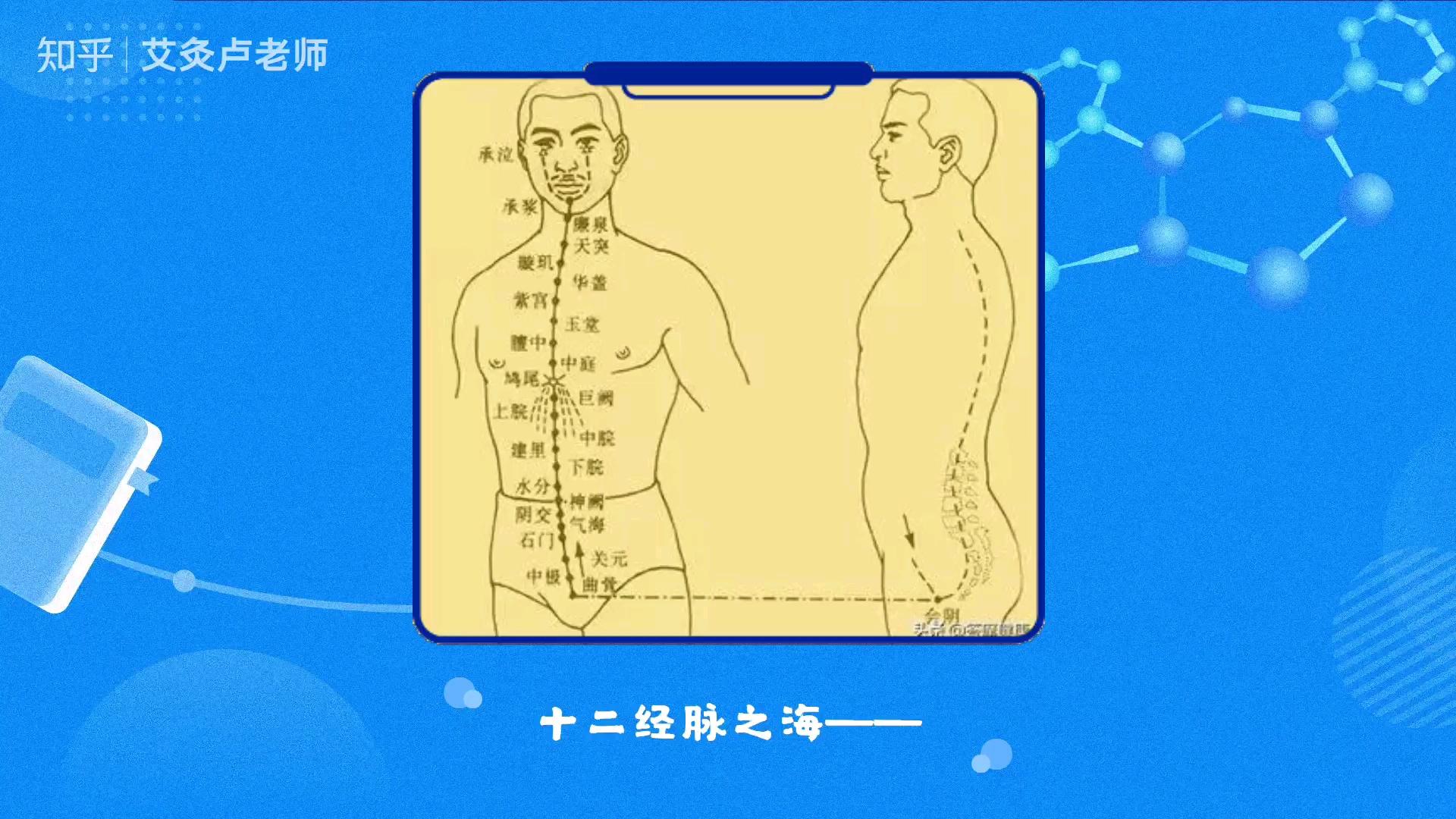 任脉与冲脉? - 知乎