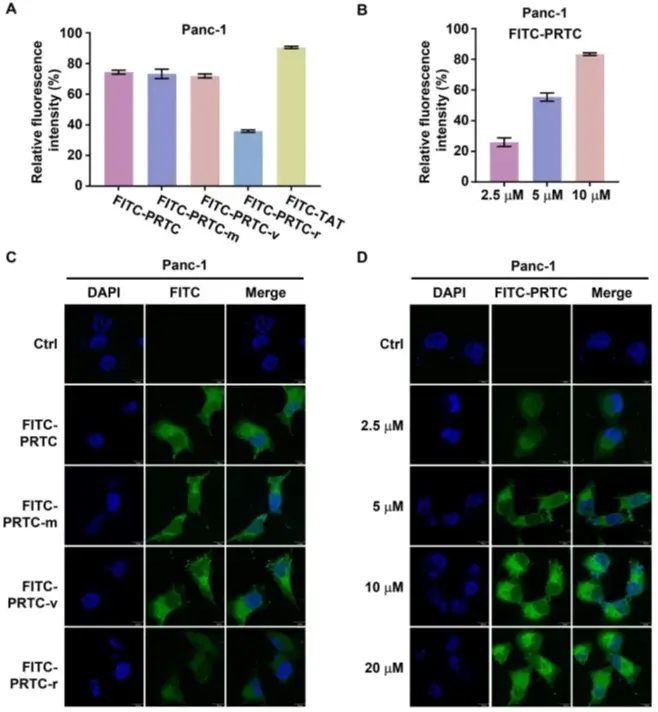 一种针对癌蛋白CREPT的基于细胞可渗透肽的PROTAC可有效抑制胰腺癌 - 知乎