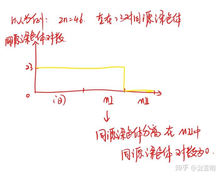 同源染色体折线图图片