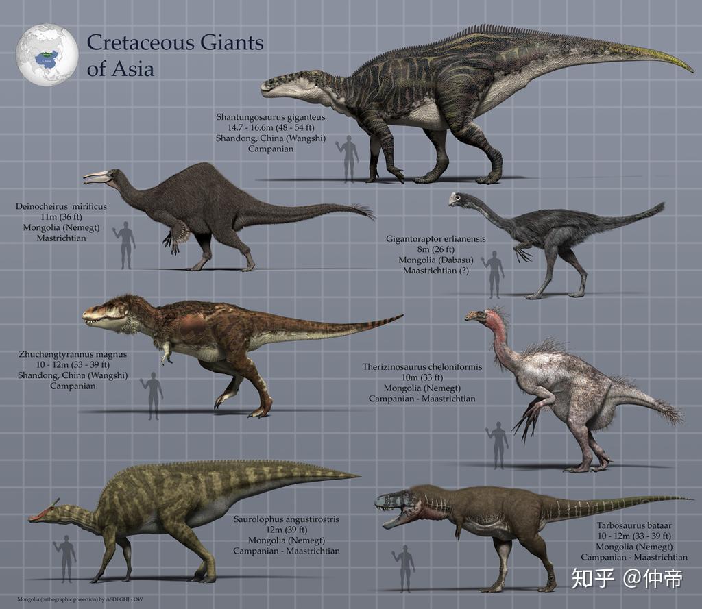 求恐龙大小比例图? 