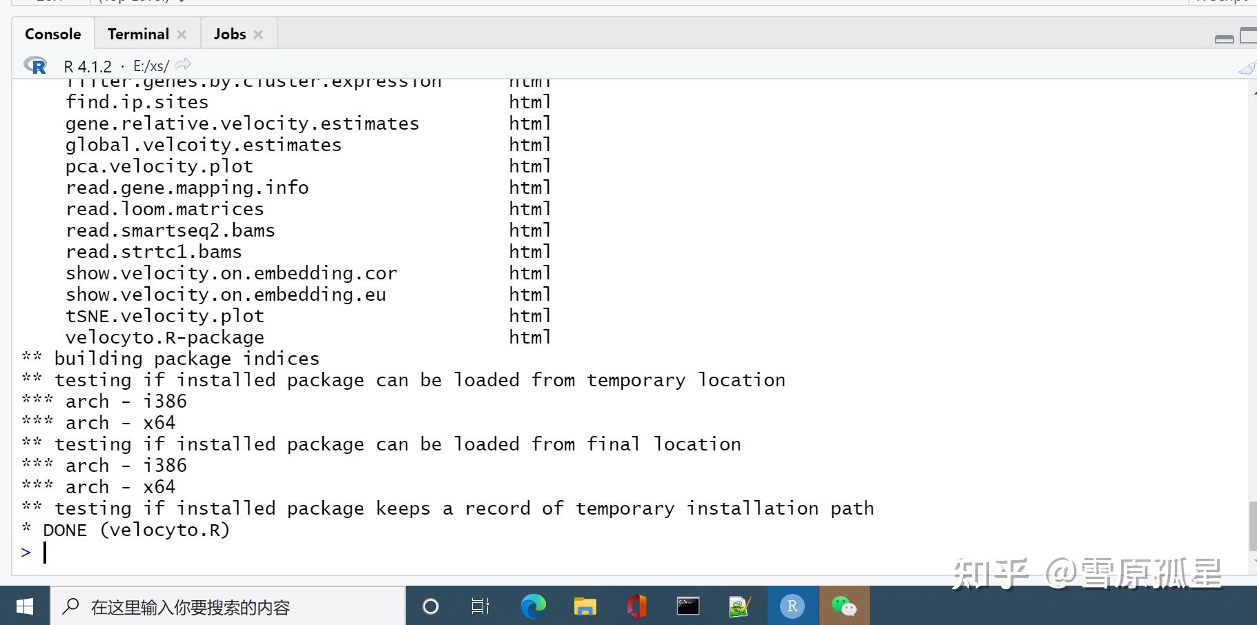 windows-velocity-r-rna-velocity