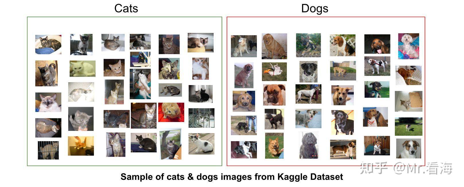 Supervised Learning Table Example Cat Dog 【深度学习-第1篇】深度学习是什么、能干什么、要怎样学? - 知乎