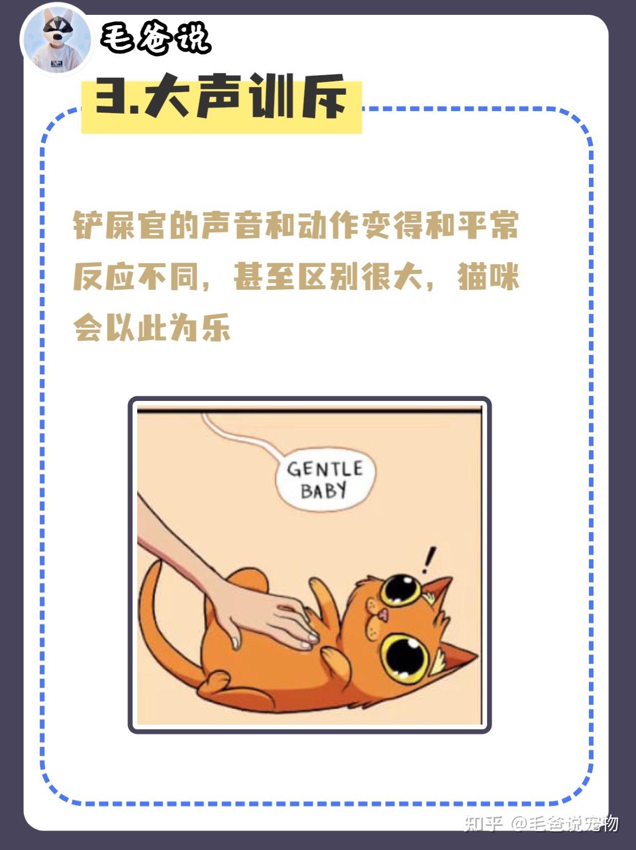 如果做这些动作，猫咪咬人会更上瘾? - 知乎