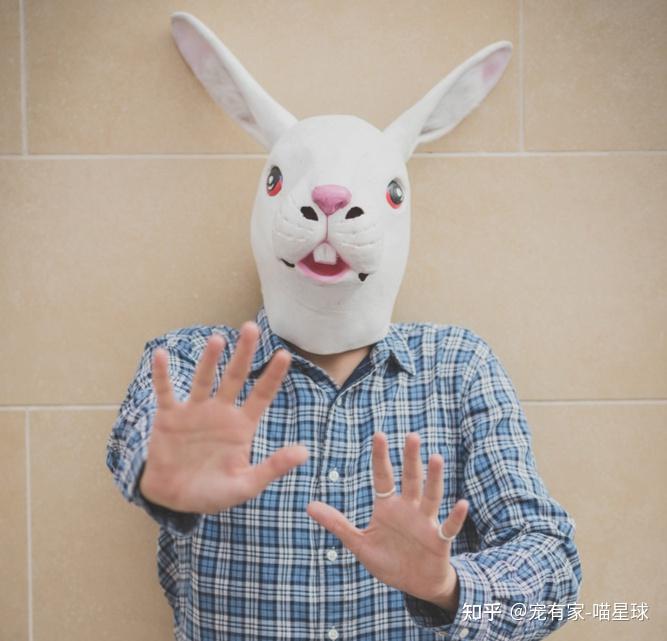 接触过兔子的人都知道,兔子眼睛的位置有异于人.