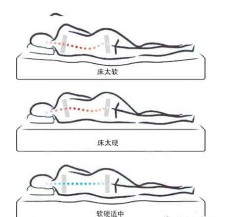 在挑选床垫的时候,可以试睡床垫20分钟,先平躺,再侧躺,感受一下腰椎的