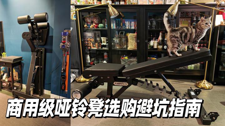 【2025年618家庭健身房必备器械推荐】居家健身需要买商用级哑铃凳吗?商用卧推椅|健身房哑铃凳|飞鸟凳五大选购避坑指南|| 内附:哑铃凳经典 ...