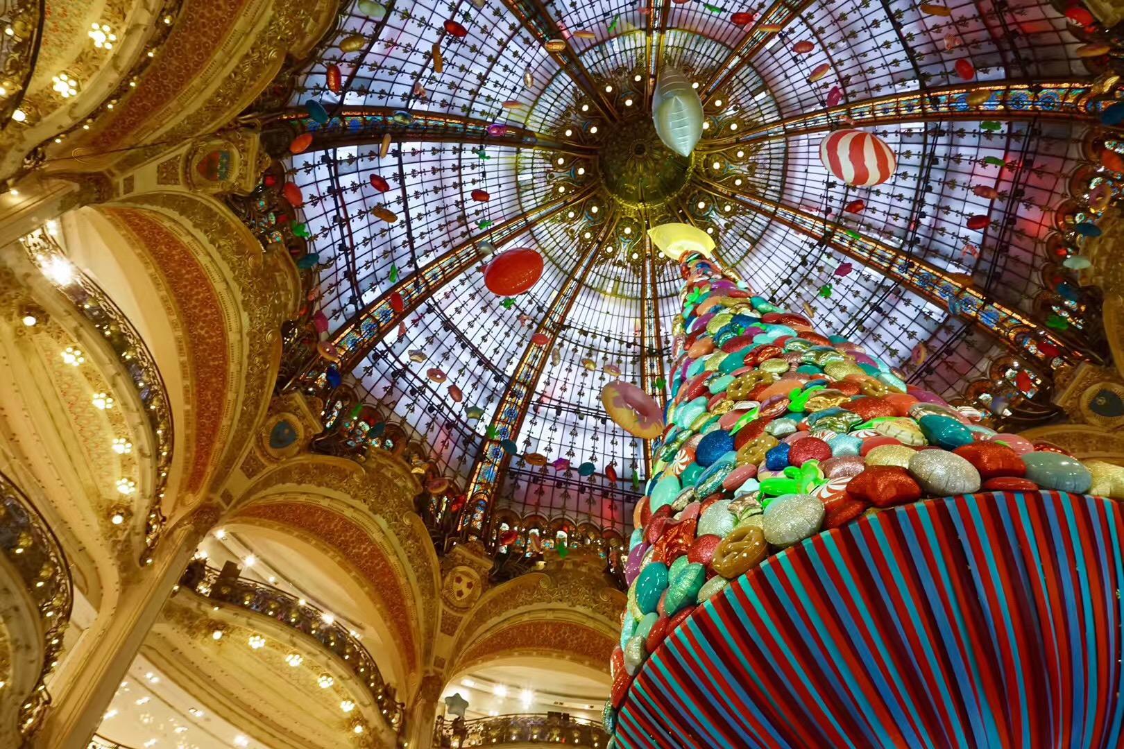 高三学生想走图兰朵计划去意大利留学 学语言