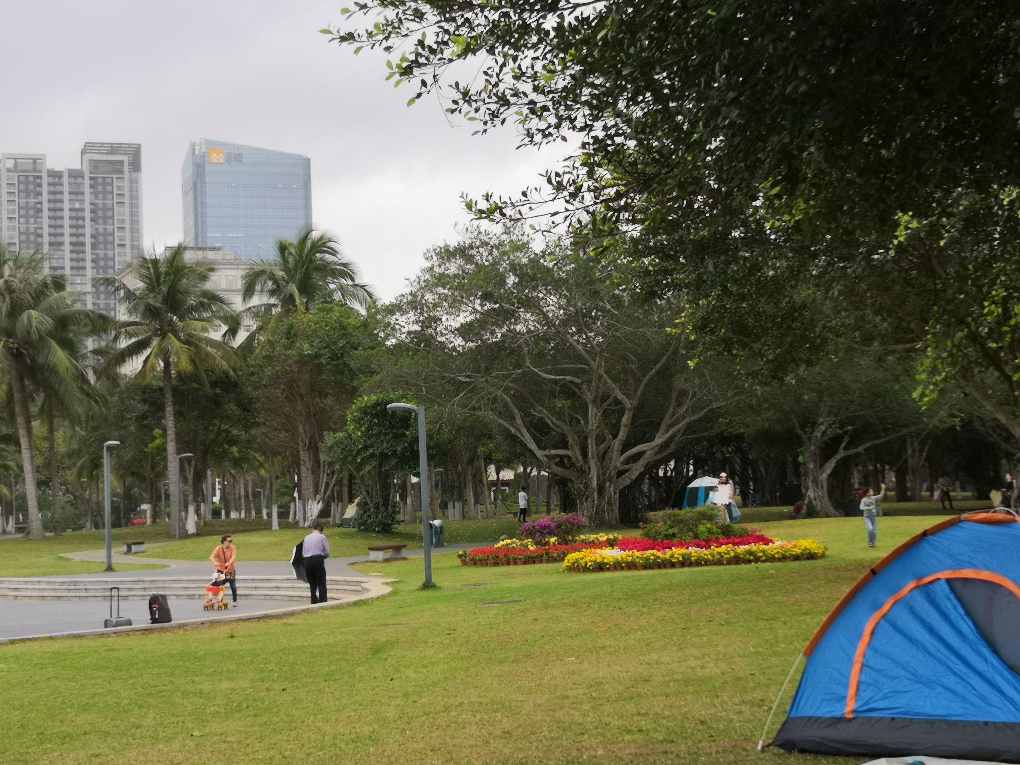 海口万绿园——春花94怒放,惬意休闲 - 知乎