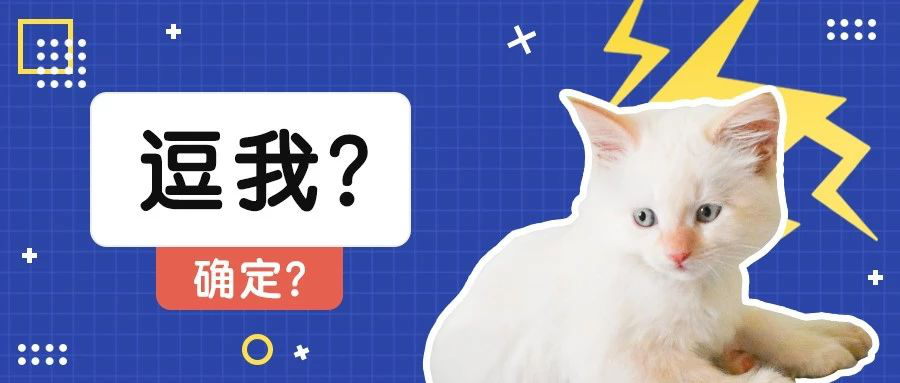 v2-65f5c4981d711d472488b80b56bbaa03_1440w.jpg?source=172ae18b