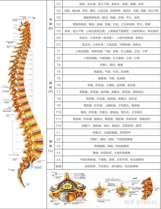 有的人活着