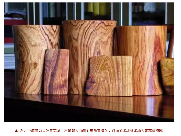 海南黄花梨大叶黄花梨与白酸枝的对比