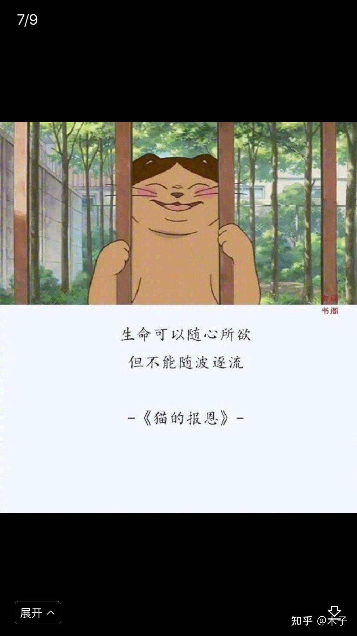 有没有宫崎骏文案的大合集呀