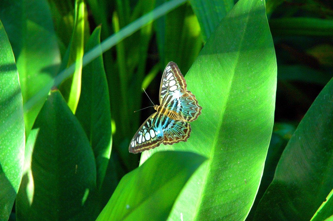 4. 灰色粉搭简约风