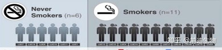 Genomic Landscape of Non-Small Cell Lung Cancer in Smokers and Never ...