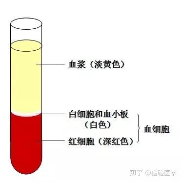 中国连锁经营协会调研连锁餐企财务表现