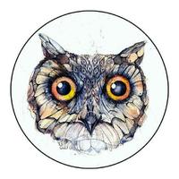 67 查看详细资料 67关注 67发私信刀刀智库灯塔创始人,干了十