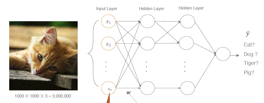 二,常规神经网络(nns)