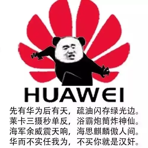 我不喜欢华为,但我绝不能接受外人怼它!