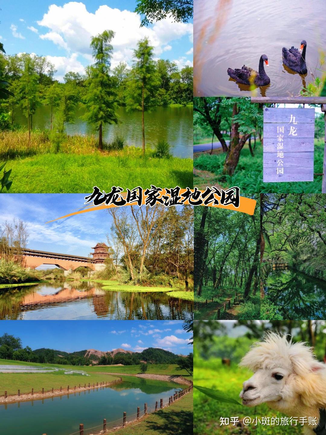 十一小众旅行|第一次来丽水可以这么玩 - 知乎