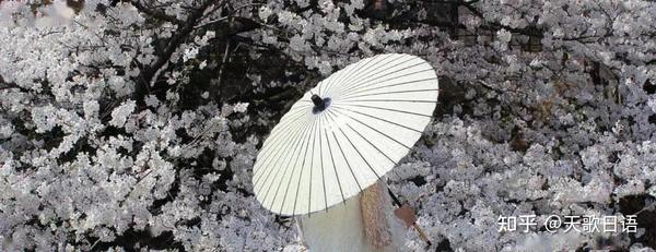 日本的和伞文化,一起了解一下吧~ - 知乎