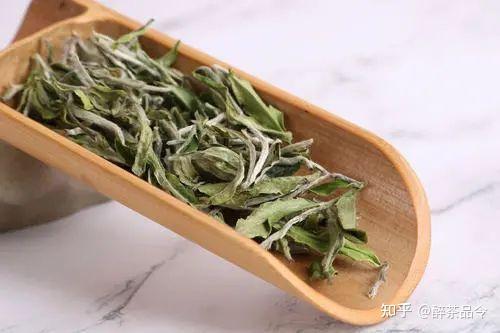 白茶是什麼茶