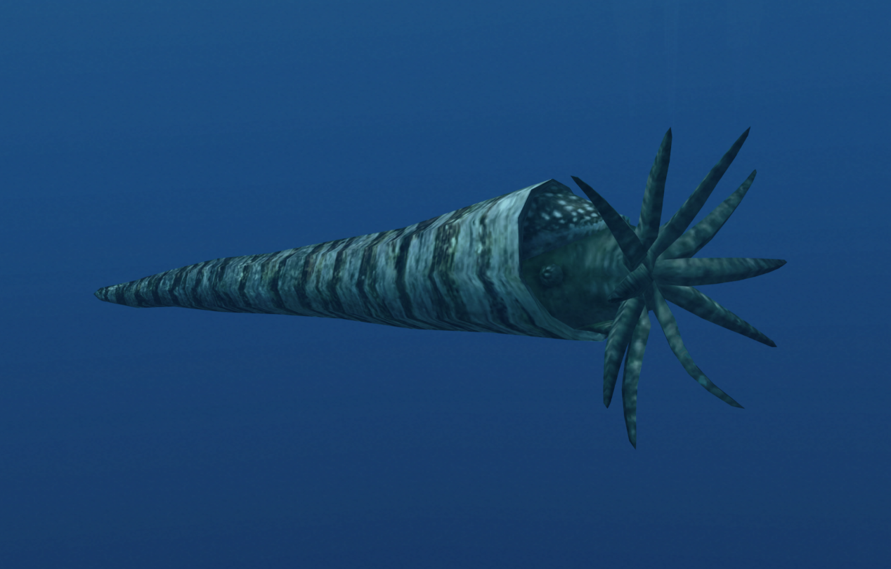 头足纲小传31成神之日内角石目