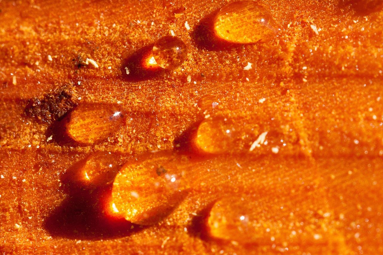 4. 灵活应用领域广