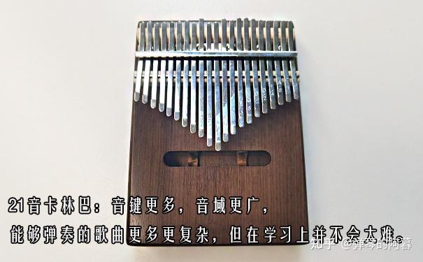 听了卡林巴琴版的卡农后喜欢上卡林巴琴了想入手一款希望各位大佬给些