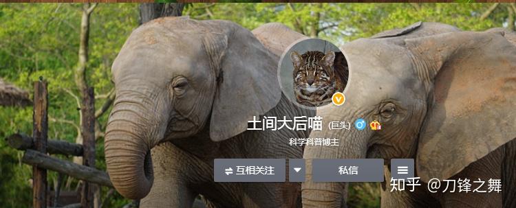 剑齿虎打得过狮子老虎吗?(剑齿虎与狮子体型对比)