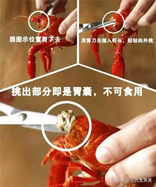 小龙虾头怎么吃图解图片