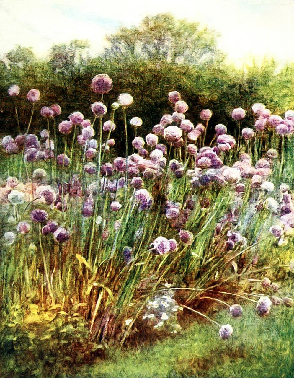 4. 木窗修复与保养