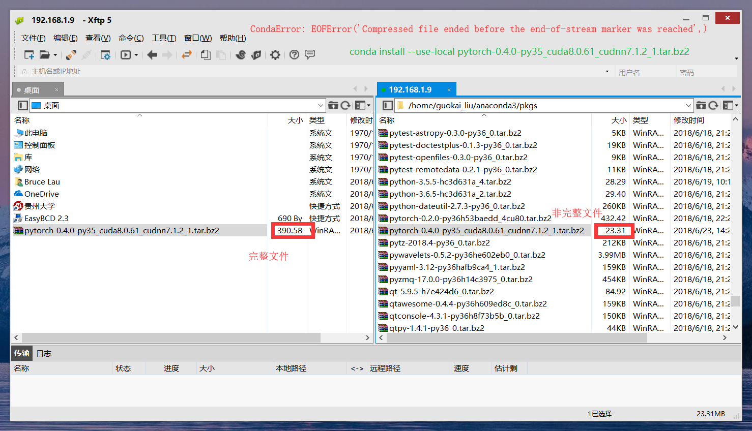 Conda Install Use Local