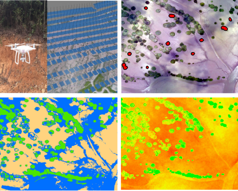 无人机图像拼接软件photoscan