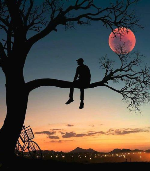 感慨的语句 v2-6664a5842a8f0626a0134a9cdd2135c1_1440w.jpg?source=172ae18b