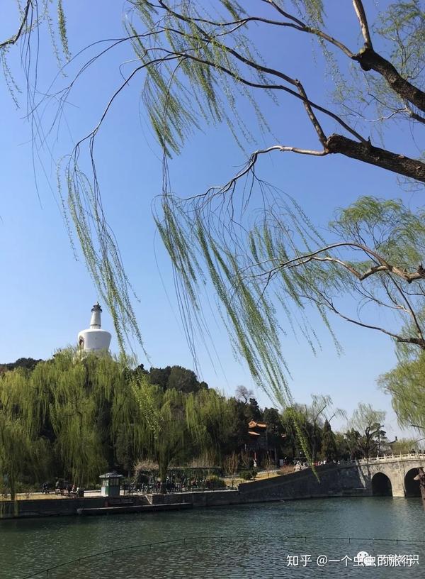 清明为什么要插柳?