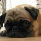 三寸旧城 - 知乎