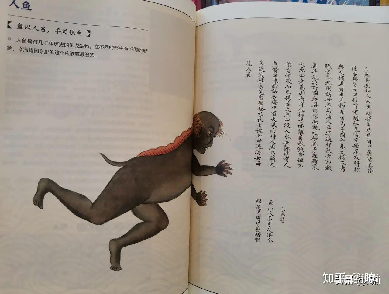 海错图笔记博物君海里的美味