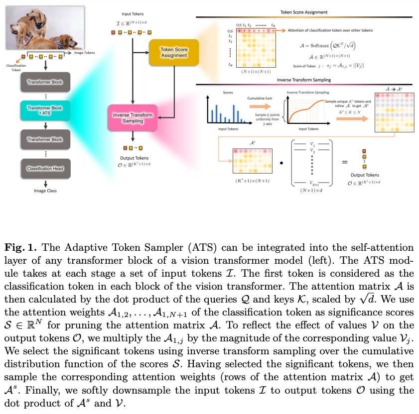 CVPR2023 Making Vision Transformers Efficient from A Token ...