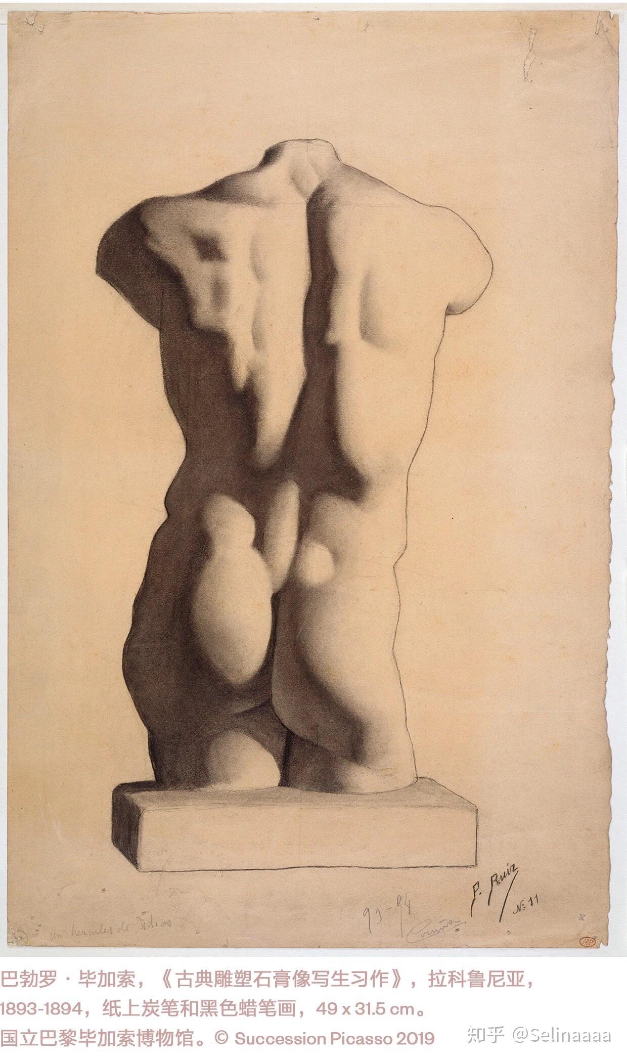 讲解员视角看毕加索一位天才的诞生展览