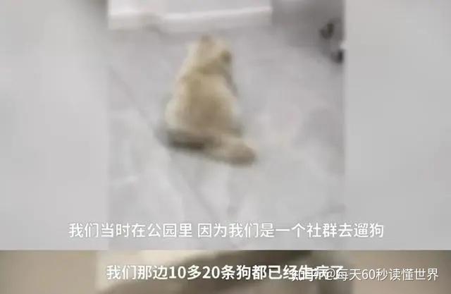 11月17日,星期四,在这里每天60秒读懂世界! 11月17日,星期四,在这里每天60秒读懂世界!