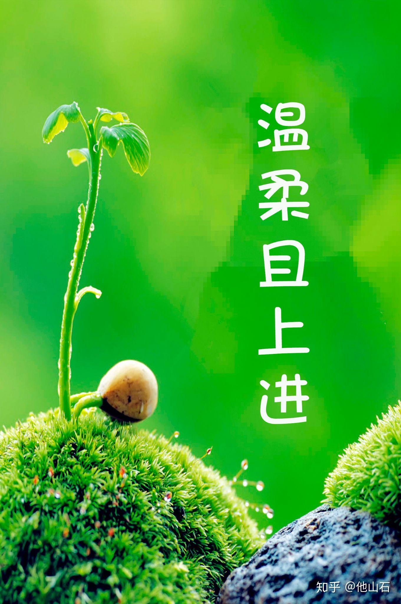有没有一张绿色壁纸上面写的是温柔且上进啊