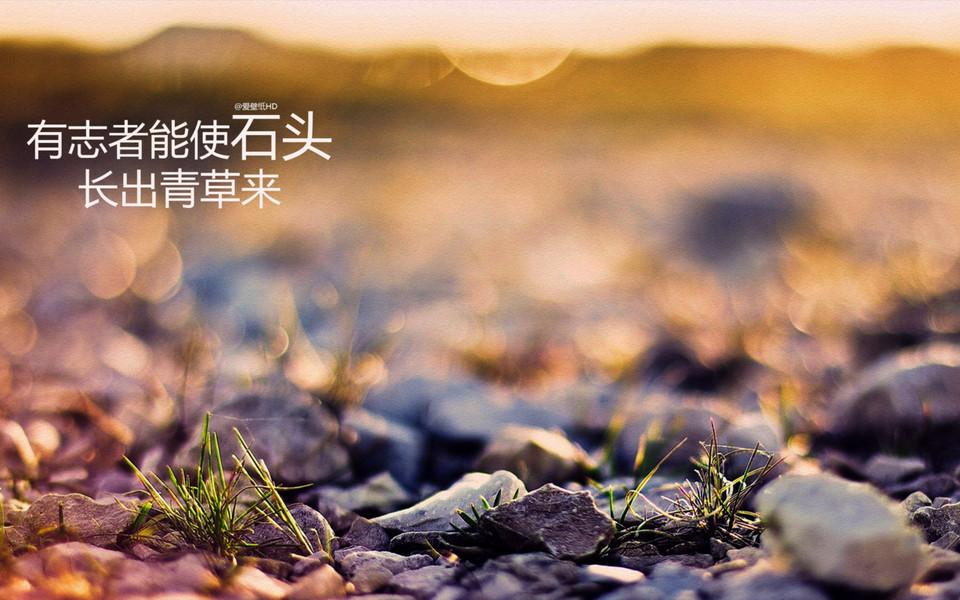 v2-66b94e9268944a663cc5ebea407bf7eb_1440w.jpg?source=172ae18b